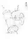 Fig. 24 - Mobile device with operation for modifying visual perception