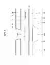 Fig. 12 - Nano crystal display device having patterned microcavity structure