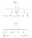 Fig. 08 - Display device and a method of manufacturing the same