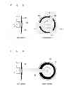 Fig. 06 - Light source apparatus and projector