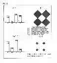 Fig. 11 - Printing structure of medium surface on which dot pattern is formed by printing, printing method, and its reading method