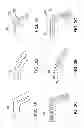 Fig. 06 - LIGHT COLLECTOR AND LIGHT COLLECTION MODULE