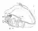 Fig. 01 - Wearable headlamp