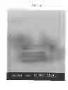 Fig. 53 - LIGHT EMITTING APPARATUS