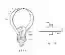 Fig. 80 - LIGHT EMITTING APPARATUS
