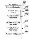 Fig. 01 - Avoiding network address translation in a mobile data network