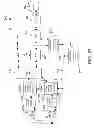 Fig. 19 - Avoiding network address translation in a mobile data network