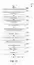 Fig. 24 - Avoiding network address translation in a mobile data network
