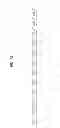 Fig. 32 - Method and apparatus for performing effective feedback in wireless communication system supporting multiple antennas