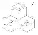 Fig. 01 - Devices and methods for facilitating reacquisition procedures