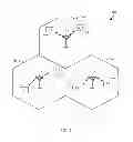 Fig. 02 - Devices and methods for facilitating reacquisition procedures
