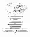 Fig. 02 - Resource Reconfiguration for Up-Link Transmission