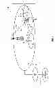 Fig. 02 - Method and apparatus for reference signal transmission and reception