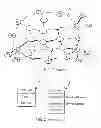 Fig. 02 - Metro ethernet network with scaled broadcast and service instance domains