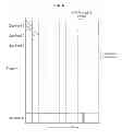 Fig. 07 - Method and apparatus for timing synchronization at sub-sampled rate for sub-sampled wideband systems