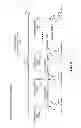 Fig. 04 - Power line communication system synchronization