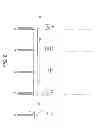 Fig. 09 - Communication apparatus, integrated circuit, and communication method