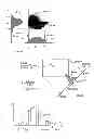 Fig. 08 - Image processing method