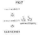Fig. 08 - Paper sheet processing apparatus