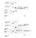Fig. 10 - Protection for Fibre Optic Access Networks