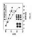 Fig. 11 - Digital non-linear compensation in optical communication systems