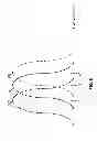 Fig. 09 - Feedback-based configuration of a hybrid fiber-coaxial network