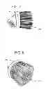 Fig. 04 - Tire protectant applicator system