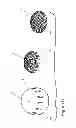 Fig. 06 - Process for manufacturing a ball and socket joint and ball and socket joint manufactured according to the process