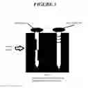 Fig. 04 - STA-PUT / HURRICANE NAIL