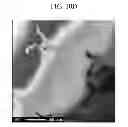 Fig. 13 - Aluminum alloy and production method thereof