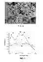 Fig. 04 - Templated catalyst composition and associated method