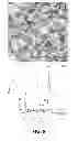 Fig. 09 - Mechanochemical synthesis of hexagonal OsB