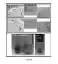 Fig. 09 - Compositions, methods, and systems for separating carbon-based nanostructures