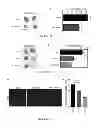 Fig. 19 - Methods and compositions for modulation of Olfml3 mediated angiogenisis