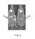 Fig. 09 - Compositions and Methods for in Vivo Imaging
