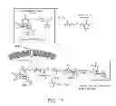 Fig. 16 - Compositions and Methods for in Vivo Imaging