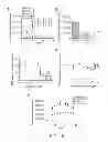 Fig. 17 - Compositions and Methods for in Vivo Imaging