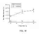 Fig. 20 - Compositions and Methods for in Vivo Imaging