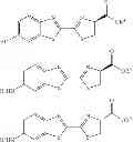 Fig. 52 - Compositions and Methods for in Vivo Imaging