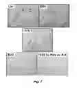 Fig. 08 - Compositions and methods for detection and treatment of cancer