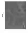 Fig. 07 - BIFUNCTIONAL PHOSPHONATE CHELATING AGENTS