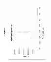 Fig. 12 - BIFUNCTIONAL PHOSPHONATE CHELATING AGENTS