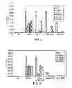 Fig. 09 - Oligonucleotide-based probes for detection of bacterial nucleases