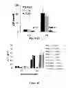 Fig. 03 - Compositions comprising a Brd4 antagonist and methods for the treatment of HIV