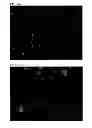 Fig. 20 - NUTRITIONAL COMPOSITIONS CONTAINING A NEUROLOGIC COMPONENT AND USES THEREOF