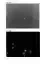 Fig. 23 - NUTRITIONAL COMPOSITIONS CONTAINING A NEUROLOGIC COMPONENT AND USES THEREOF