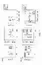 Fig. 20 - METHODS FOR DIAGNOSIS, PROGNOSIS AND METHODS OF TREATMENT