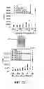 Fig. 08 - Modulation of bio-electrical rhythms via a novel engineering approach