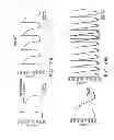 Fig. 12 - Modulation of bio-electrical rhythms via a novel engineering approach