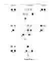 Fig. 08 - Structural mutations in titin cause dilated cardiomyopathy